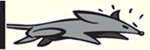 find and track rodent activity